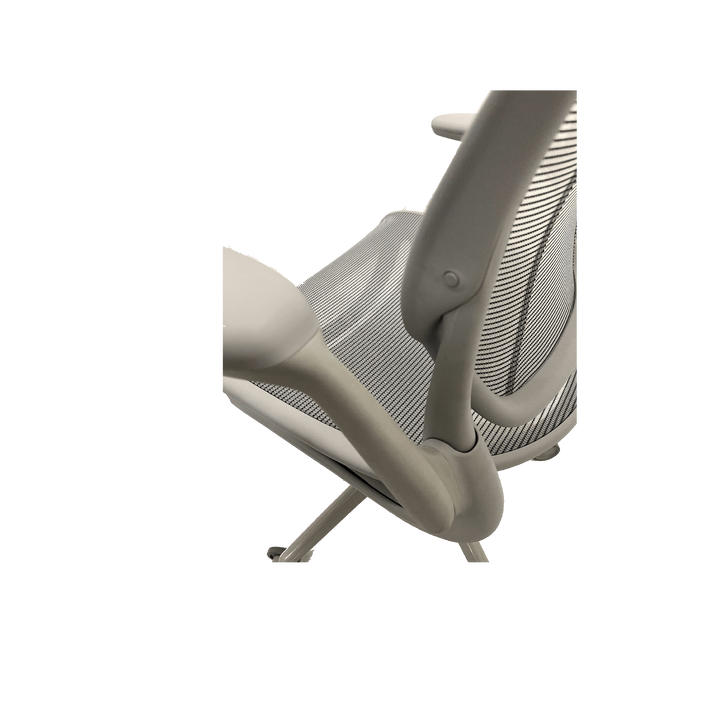 Humanscale World Chair Adjustable Arms