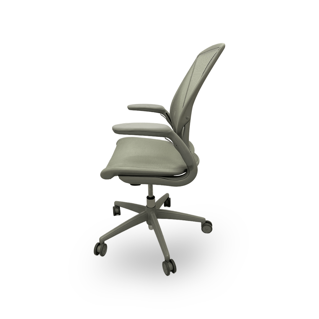 Humanscale World Chair Adjustable Arms