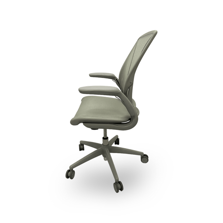 Humanscale World Chair Adjustable Arms