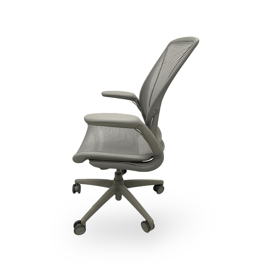 Humanscale World Chair Adjustable Arms
