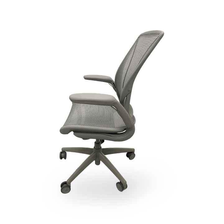 Humanscale World Chair Adjustable Arms